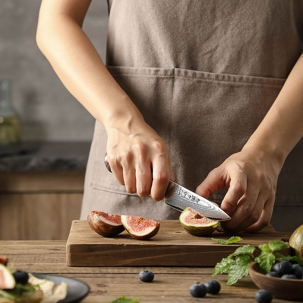 Кухонный нож Hezhen X02M Paring нож 4 дюйма клинок 67 Layers Damascus рукоять микарта, длина лезвия 11 см