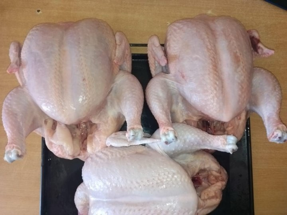 Мясо домашнего бройлера (забой ноябрь 25 г, в заморозке )