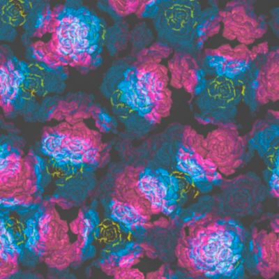 Яркие суккуленты