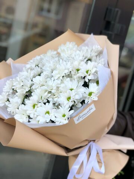 Хризантема ромашковая