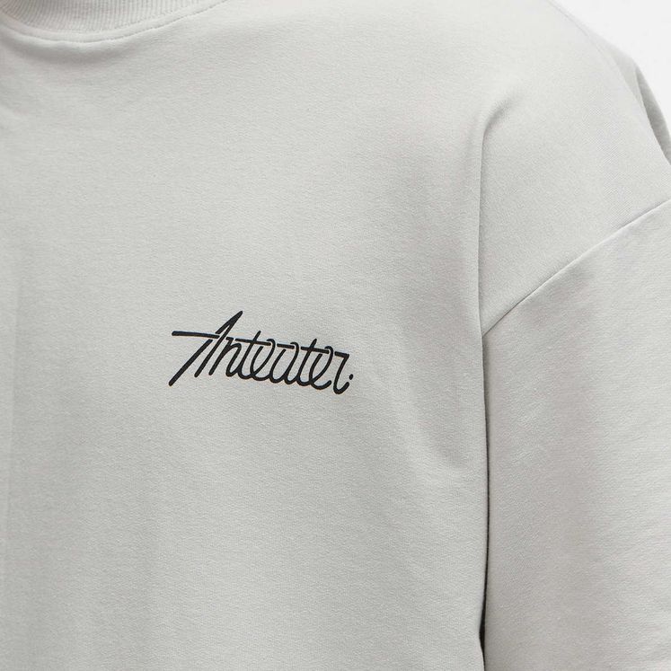 Футболка ANTEATER Phat Tee, цементный