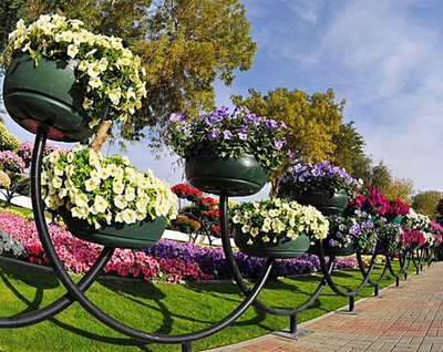 Цветочница Волна