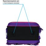 Ранец Berlingo Expert Light Hello meow 38х28х15с 3 отд., с анатомической спинкой