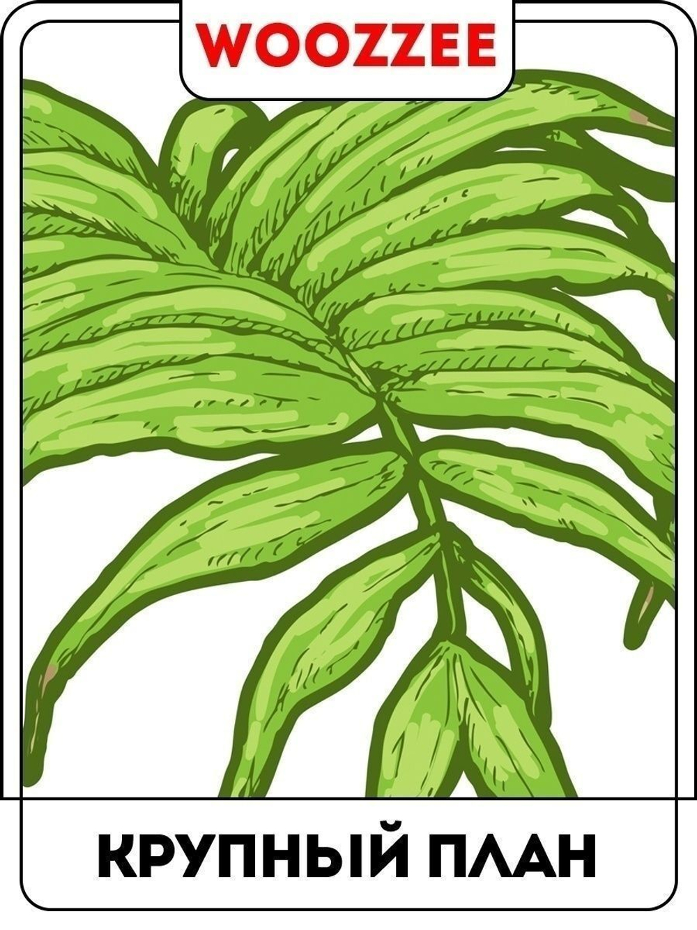 Наклейка декоративная "Зеленый папоротник"