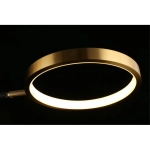 Потолочная люстра Aployt INES APL.043.07.50