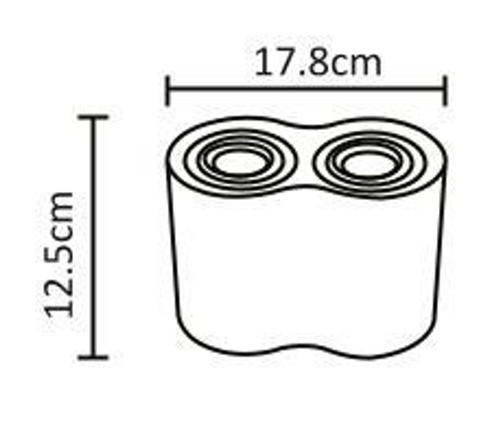 Светильник потолочный Arte Lamp Falcon A5644PL-2SI