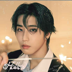 Альбом STRAY KIDS JAPAN Hollow (SOLO EDITION)