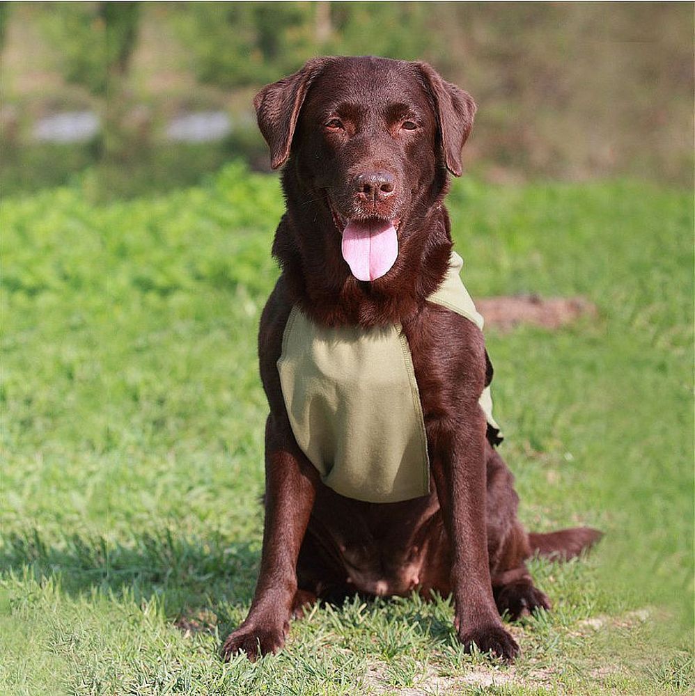 Охлаждающая попона для собак OSSO Fashion p.60