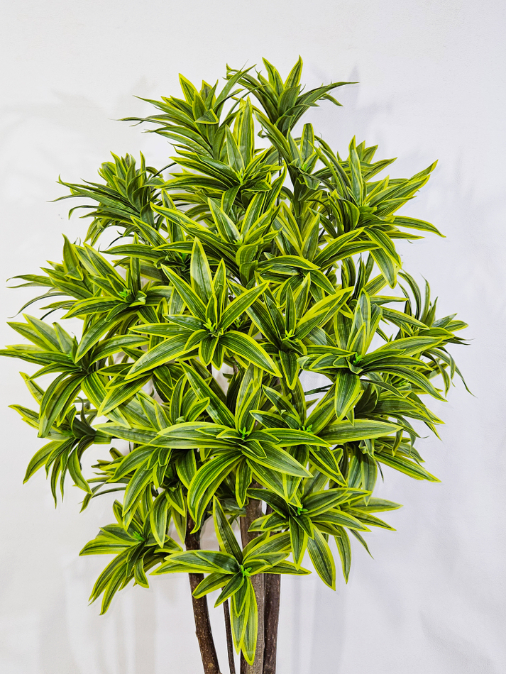 Искусственная Драцена Рефлекса желтая 110см в горшке