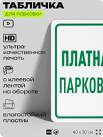 Табличка для парковки "Платная парковка", для дома, офиса, организаций, 40х30 см, Silver Plane x Айдентика Технолоджи
