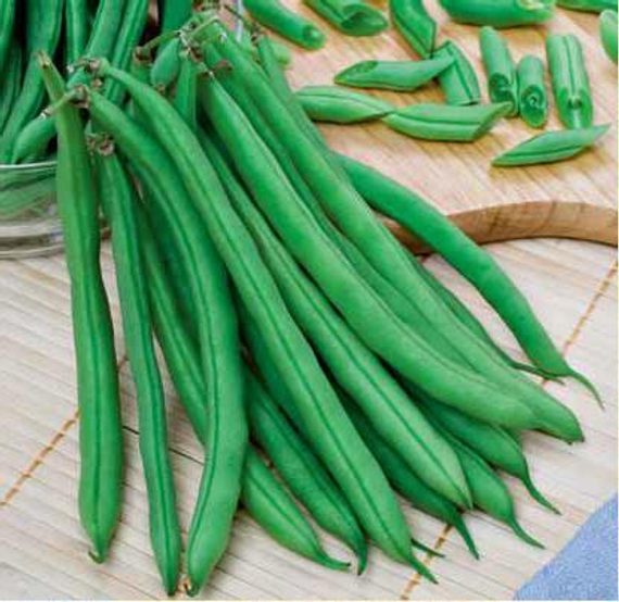 Моментум семена фасоли продукт – фото 2