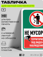 Табличка для частной территории "Не мусорить", на дом, для участка, организаций и частных территорий, предупреждающая, 40х30 см, Silver Plane x Айдентика Технолоджи
