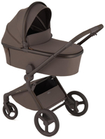 Детская коляска Anex Flo 2 в 1 Browny