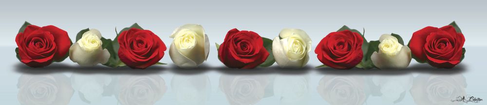 Панель SP 030 2800х610х6