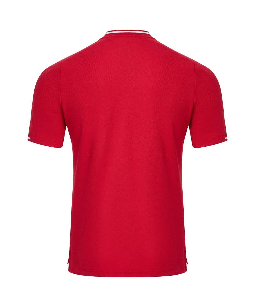 Поло DIVISION PerFormDRY Polo, красный