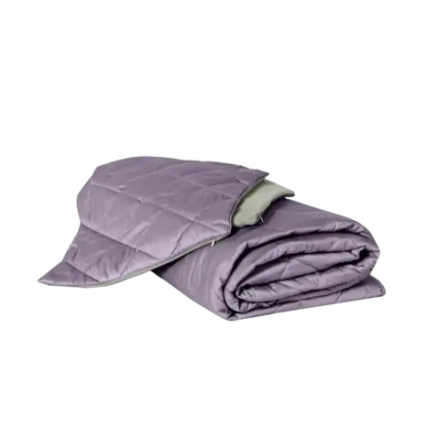 Покрывало + 2 наволочки BuyColor Фиалка/Шалфей