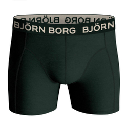 Мужские спортивные боксеры Björn Borg Core Boxer 2P - green/print
