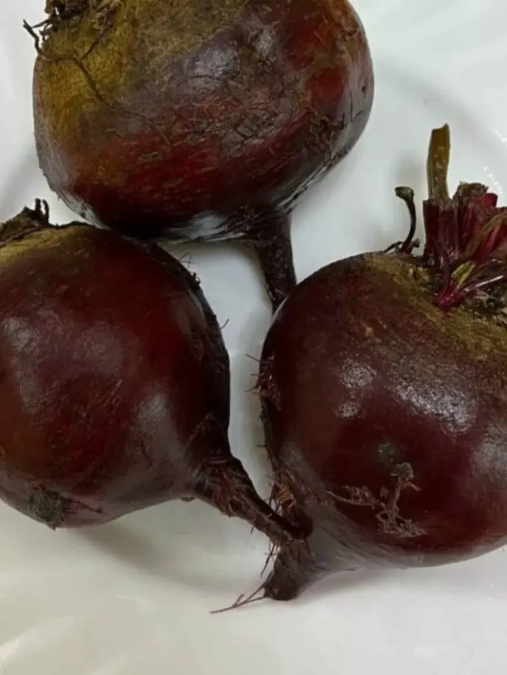 Семена свеклы Фекла