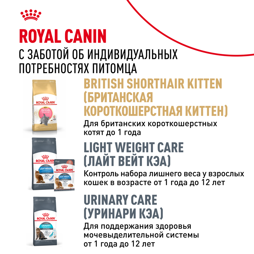 Royal Canin British Shorthair Adult (БРИТАНСКАЯ КОРОТКОШЕРСТНАЯ ЭДАЛТ) Корм консервированный для взрослых кошек соус 85г
