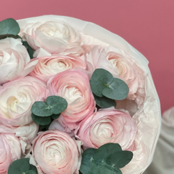 Моно букет из 9 ранункулусов и эвкалипта  80220263