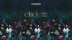 Etude