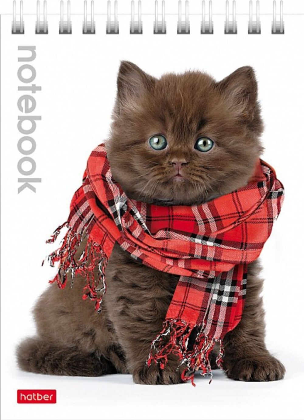 Блокнот А6, 40л, на гребне, клетка, Хатбер Милые котята, ассорти, 1 шт.