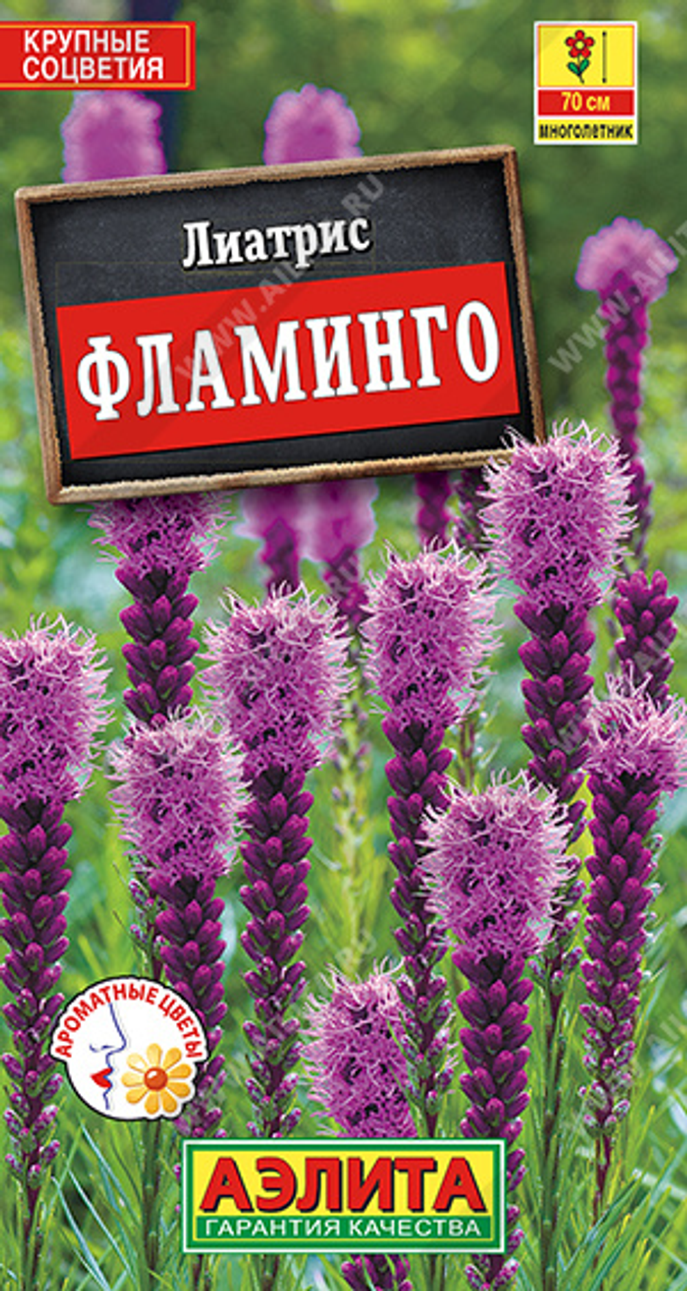 Лиатрис Фламинго