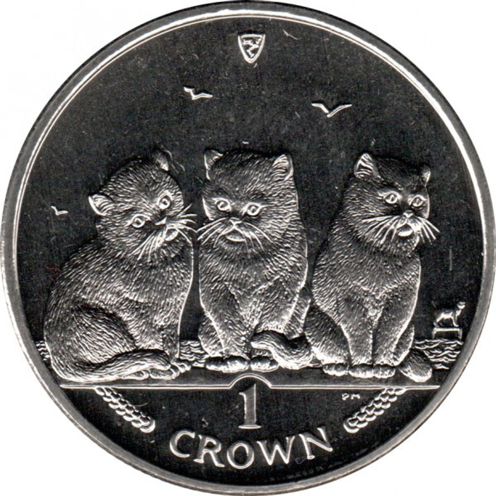 Экзотическая кошка