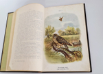 "Пернатые хищники. Популярные очерки из мира русских хищных птиц". Д.Н.Кайгородов. 1906г.