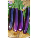 Семена Баклажан Деликатесный фиолетовый (Марс) 0,25гр Б/П