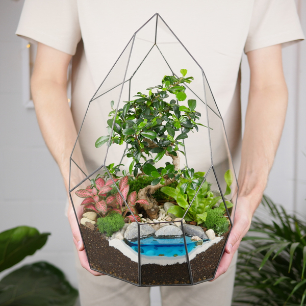 Готовый флорариум бонсай Кармона Айсберг с озером