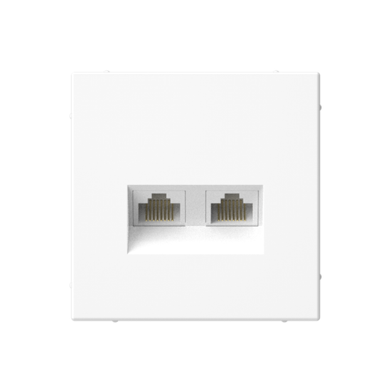 Розетка компьютерная 2-м ArtGallery RJ45 + RJ45 кат.5E механизм бел. SE GAL000185