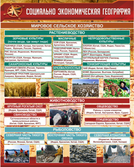 Стенд "Социально-экономическая география Сельское хозяйство"