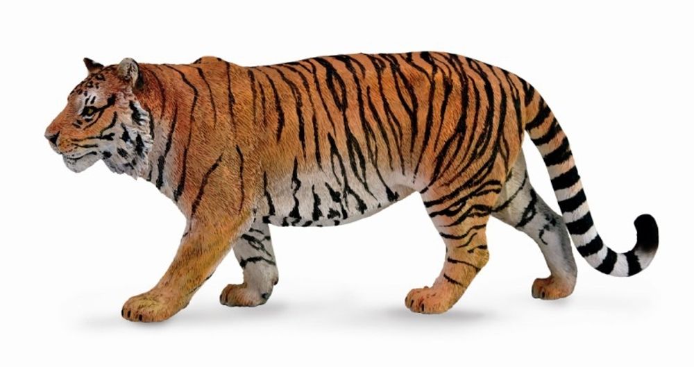 Сибирский тигр , XL