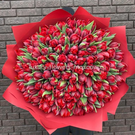 151 пионовидный красный тюльпан 4