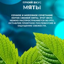 Жевательная резинка Mentos Нежная мята 54 г