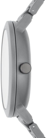 Женские наручные часы Skagen SKW6772