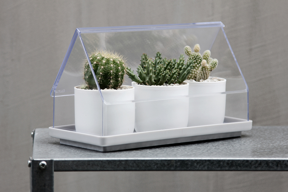 Лоток для выращивания растений micro green house, прозрачный