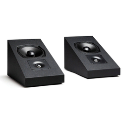 Definitive Technology Dymension DM95