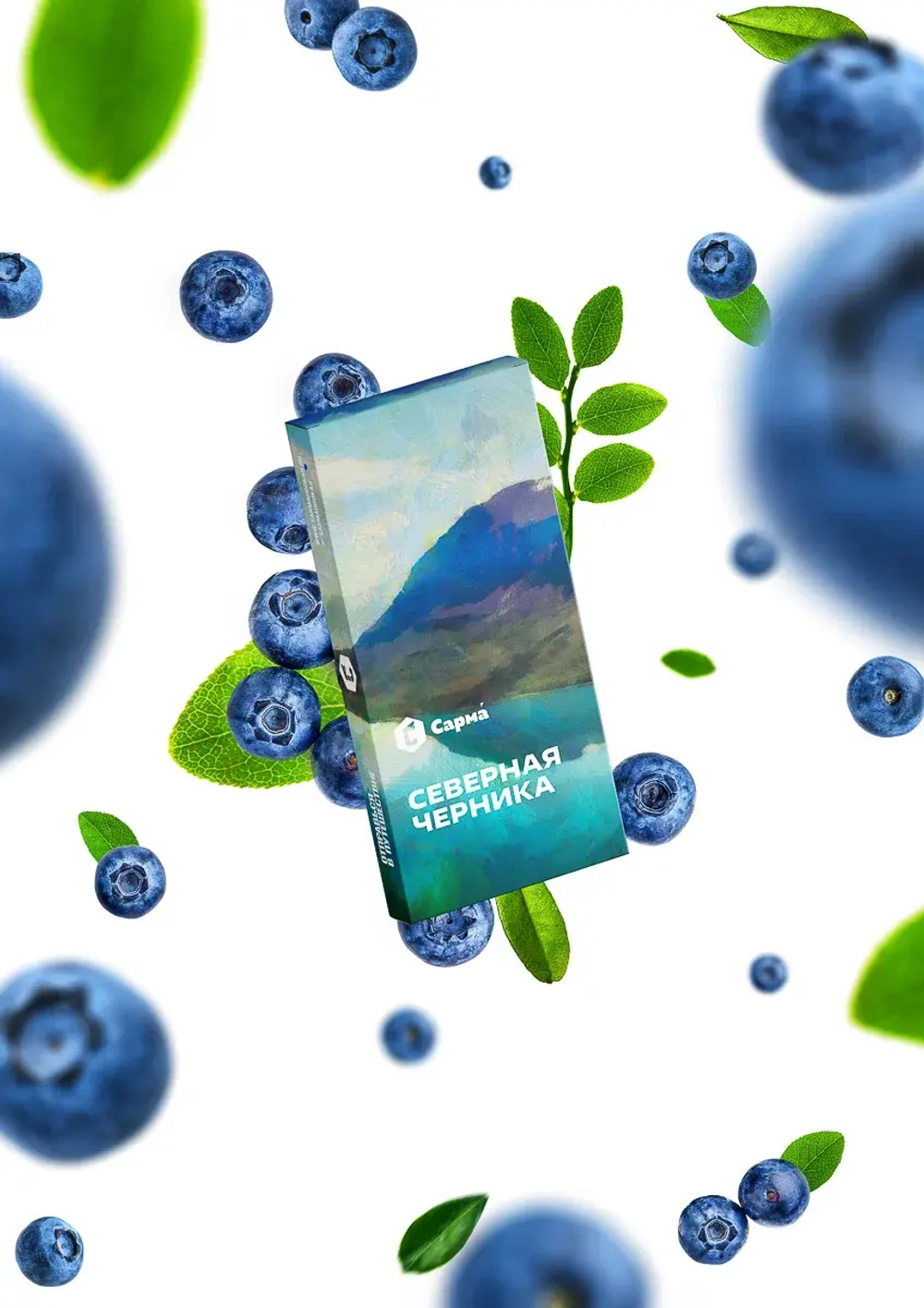 САРМА - Северная черника 100g