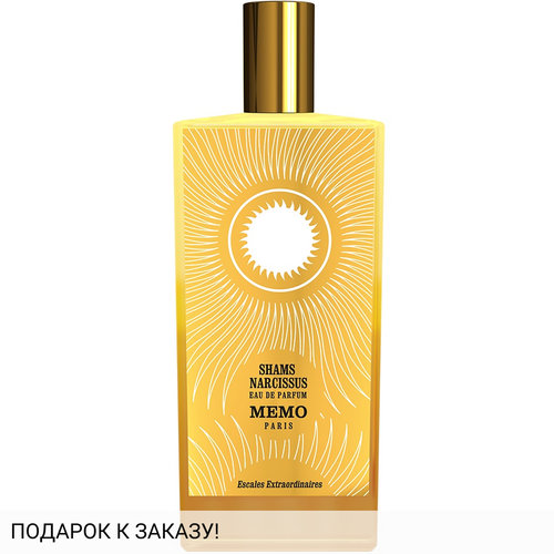 Memo Shams Narcissus