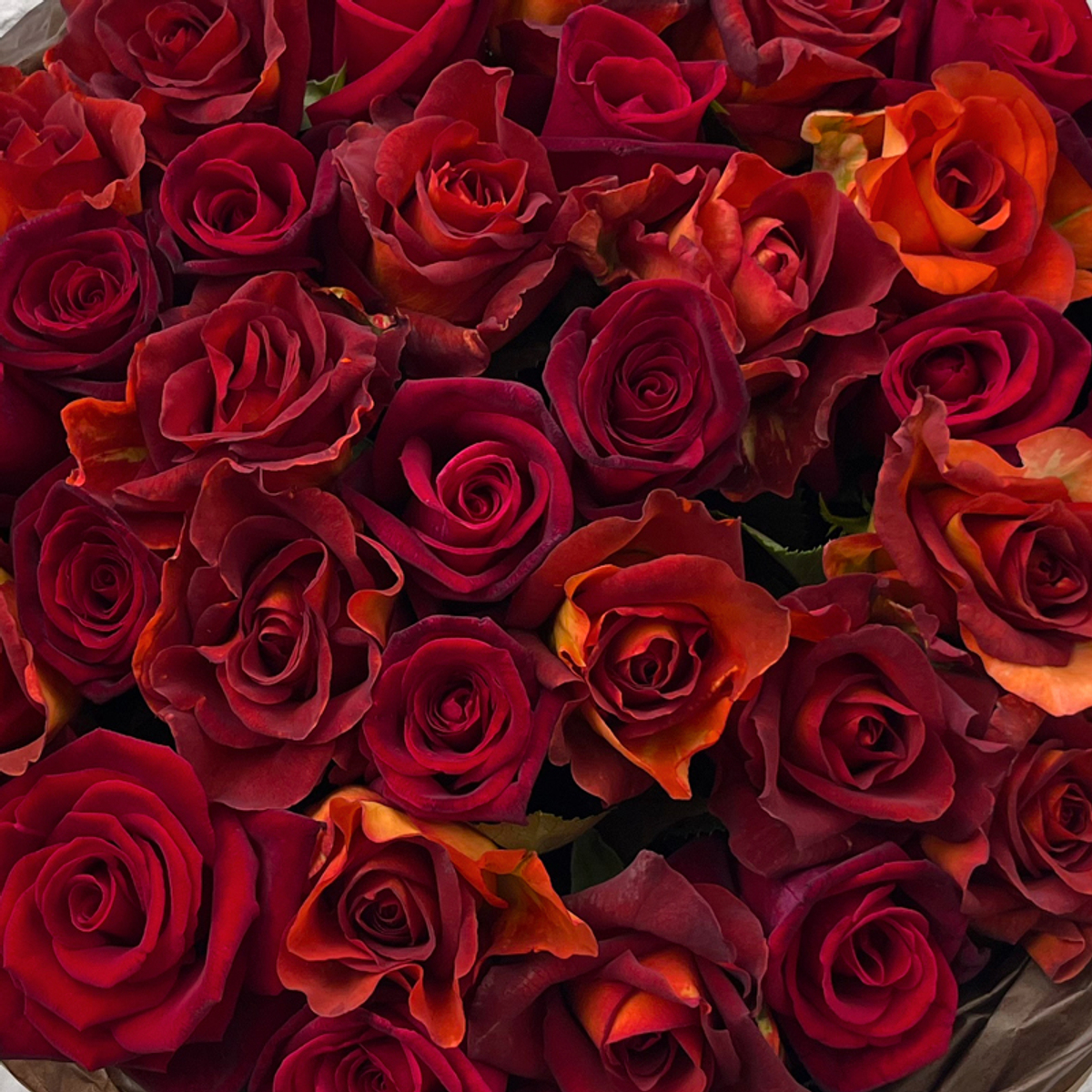 Букет ароматных роз и интерьерных роз | Экстаз и Кофе-брейк | Фея розы