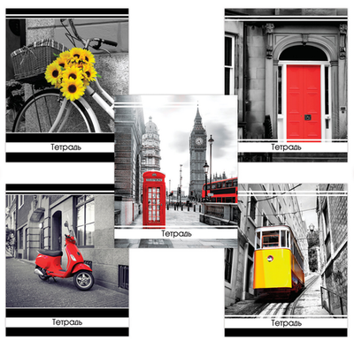 Тетрадь А5 48л. клетка "Акцент" скоба, обложка картон (BRAUBERG)