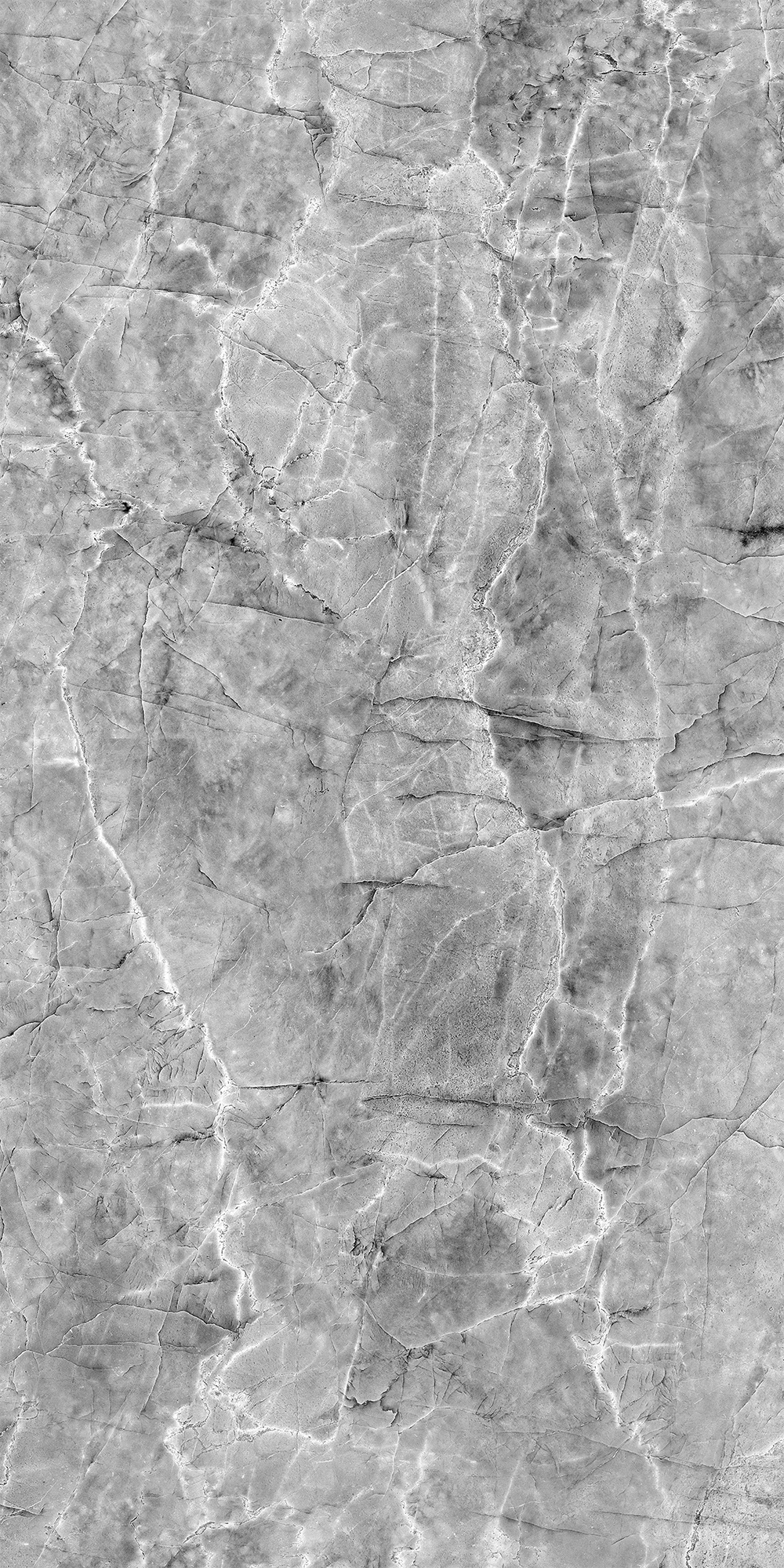 Шерл Сильвер