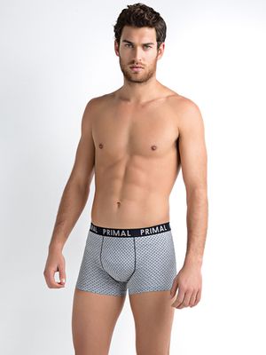 Мужские трусы B231 Boxer Primal