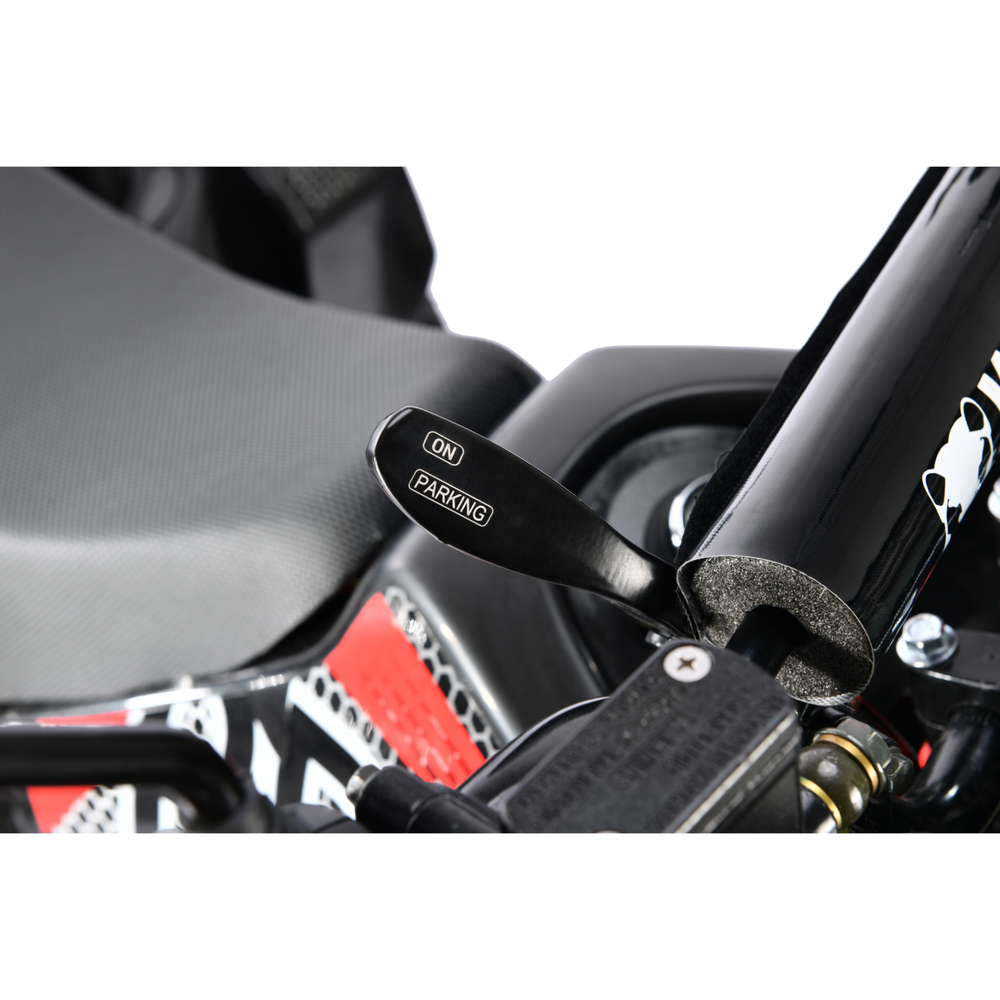 Электроквадроцикл White Siberia SNEG PRO R 3000W Черный