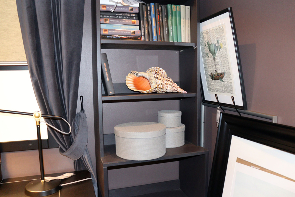 Морская раковина Харония тритонис в строгом интерьере кабинета