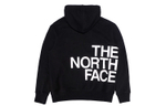 Худи THE NORTH FACE Far Side Pullover, NF0A472M-JK3