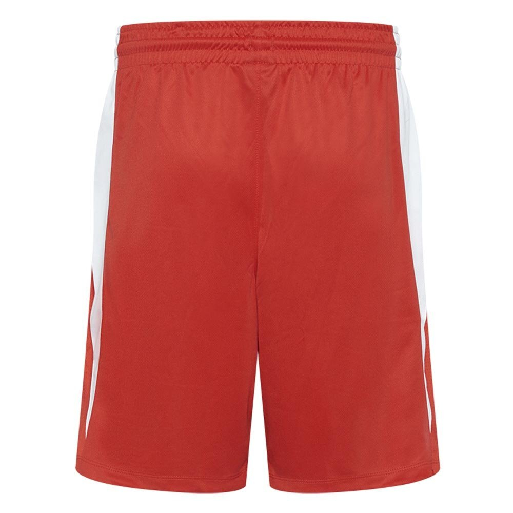 Шорты Women's Nike Team Basketball Stock Short 20 Red
