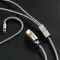 ddHiFi M110C 2-pin - USB-C Silver